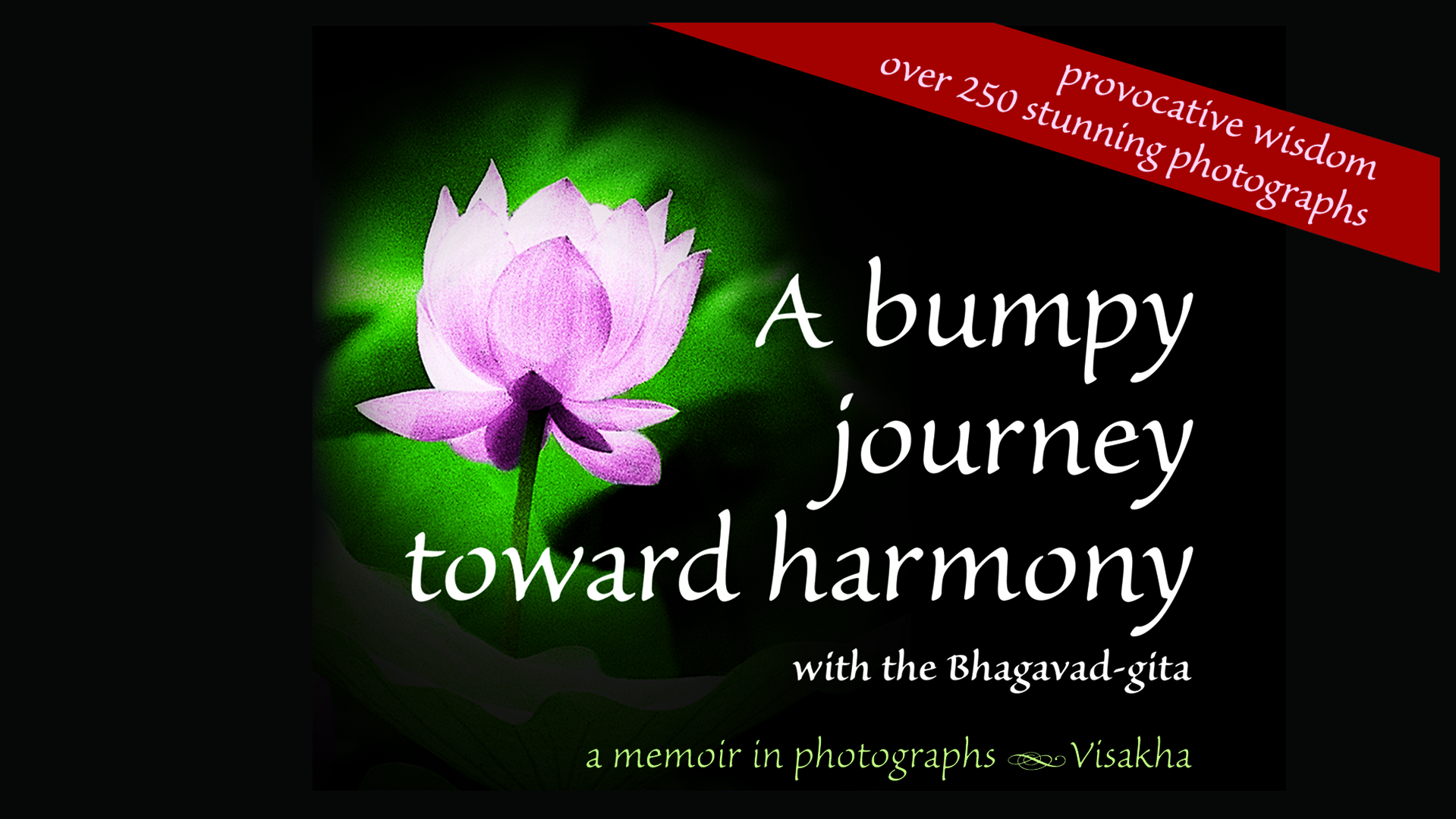 A Bumpy Journey Toward Harmony with the Bhagavad-gita